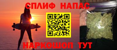 дживик Кандалакша