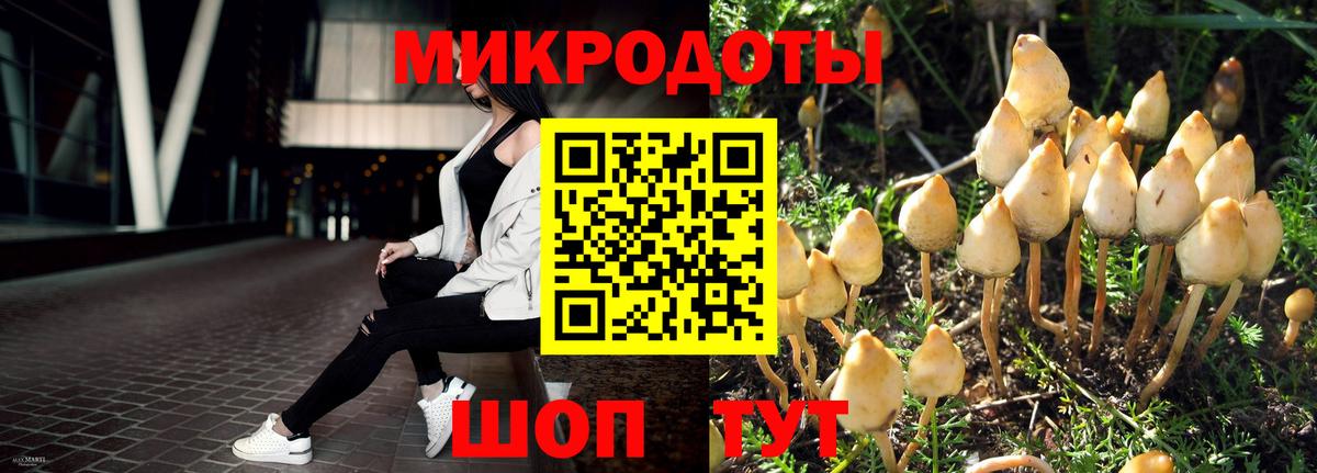 Псилоцибиновые грибы прущие грибы Кушва